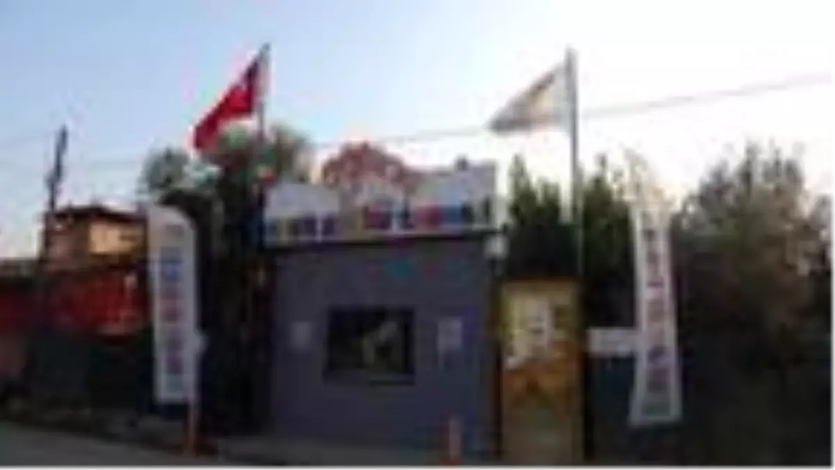 Ruhsatsız \'Minik Patiler Cenneti\' mühürlendi, köpeklere el koyuldu