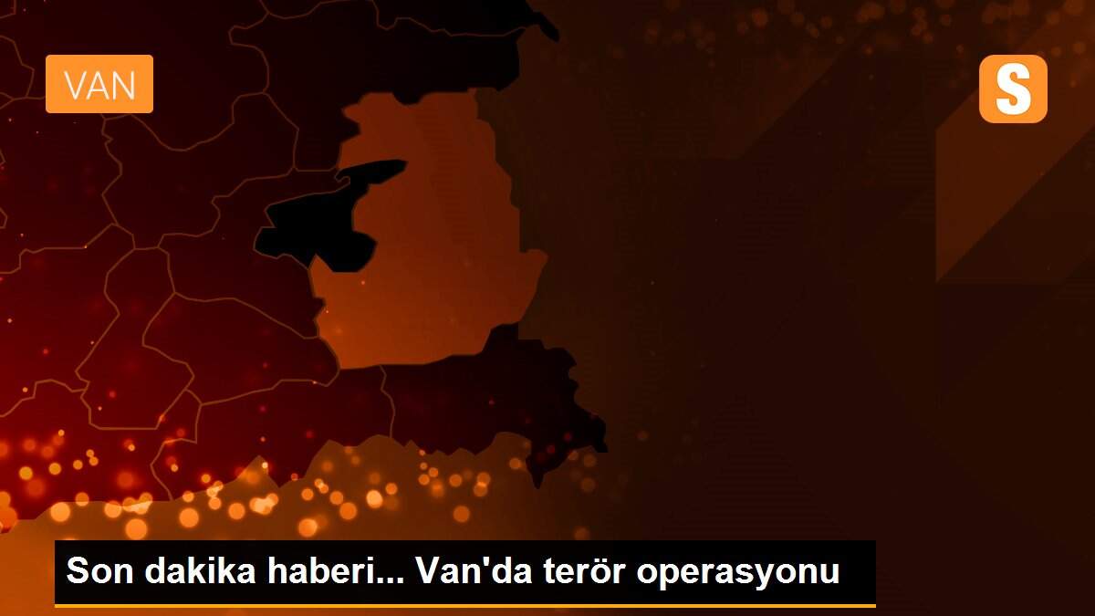 Son dakika haberleri | Van\'da PKK\'lı teröristlere ait silah ve mermi ele geçirildi