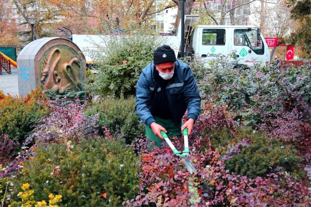 Çankaya Belediyesi Kuğulu Park\'ı rengarenk çiçeklerle süsledi