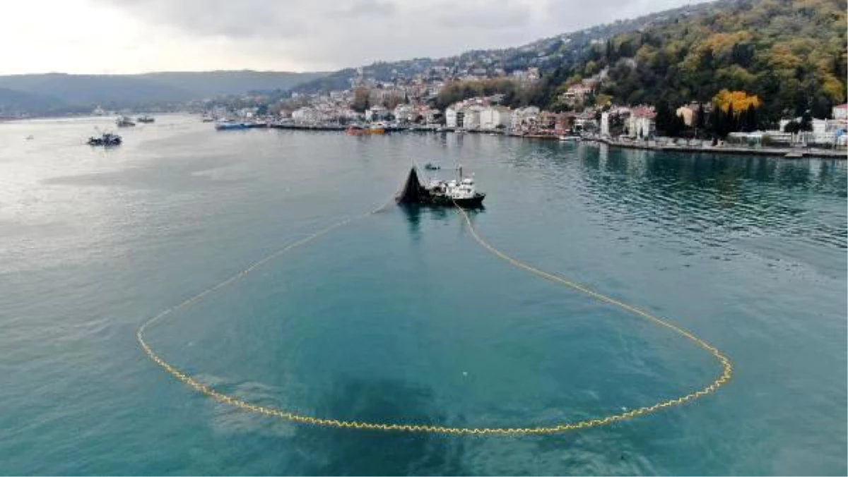 (havadan fotoğraflarla) Boğaz\'da balıkçı tekneleri tartışması; Prof. Dr. Saadet Karakulak: Kıyısal habitatların korunması lazım