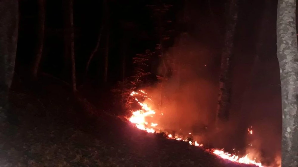 Karabük\'te ormanlık alanda yangın