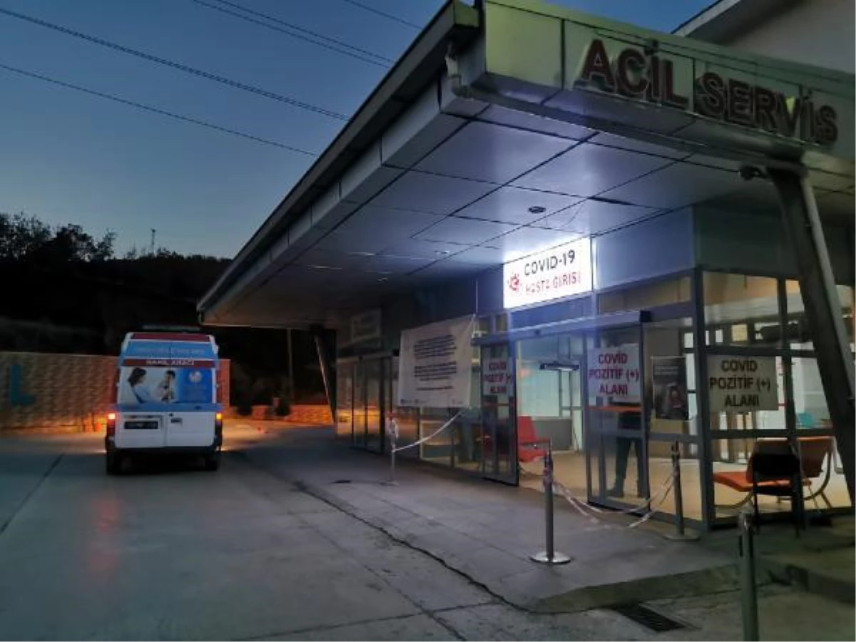 Tunceli\'de yaban domuzunun saldırdığı köylü yaralandı