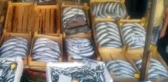 Balıkçıyı, komşu balıkçılar soydu