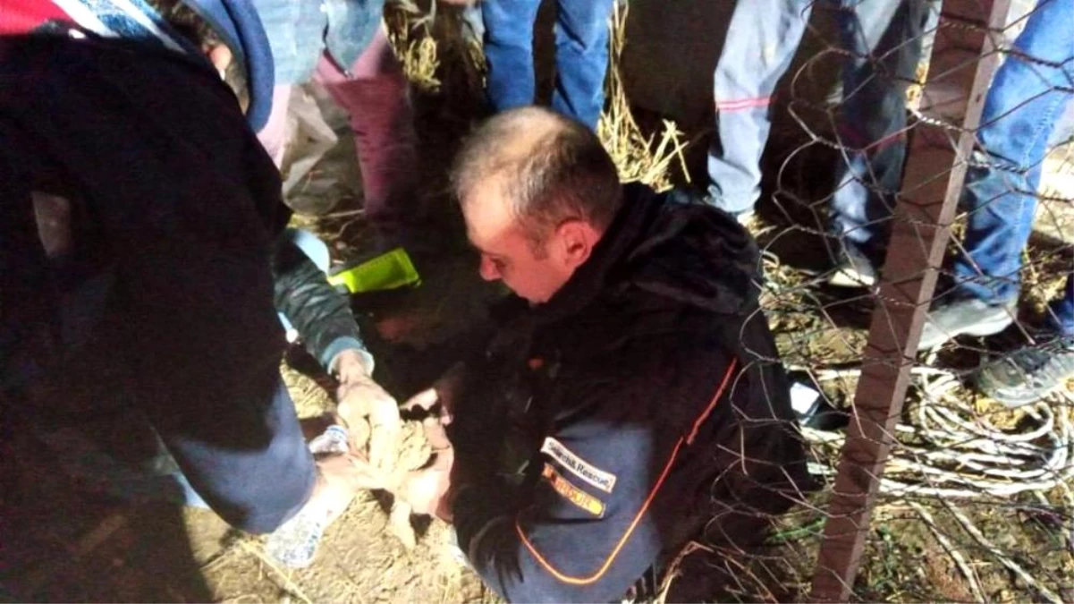 Burdur\'da sondaj kuyusuna düşen yavru köpek kurtarıldı