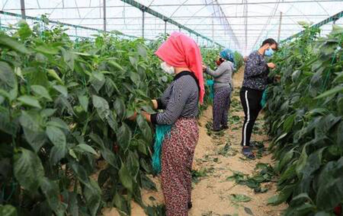 Kısıtlamada üretim hız kesmeden devam etti