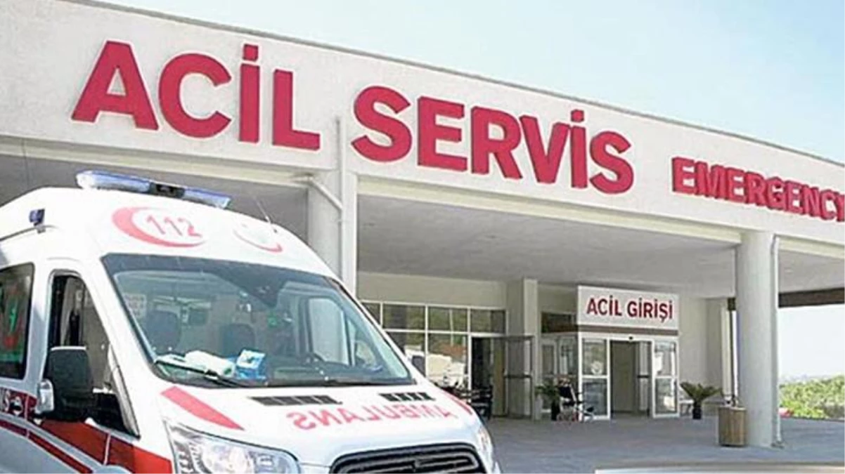 Kışlık odun yakacağı için tarlasında kestirdiği ağacın altında kalan talihsiz kadın, feci şekilde can verdi