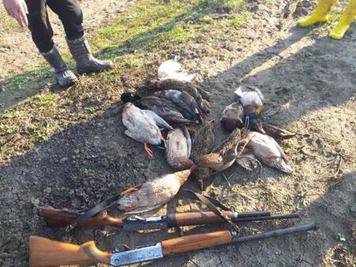 Kuş cennetinde kaçak ördek avlayan coğrafya öğretmeni yakalandı