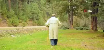 Orman sevgisi 85 yaşındaki dedeyi klipte oynattı