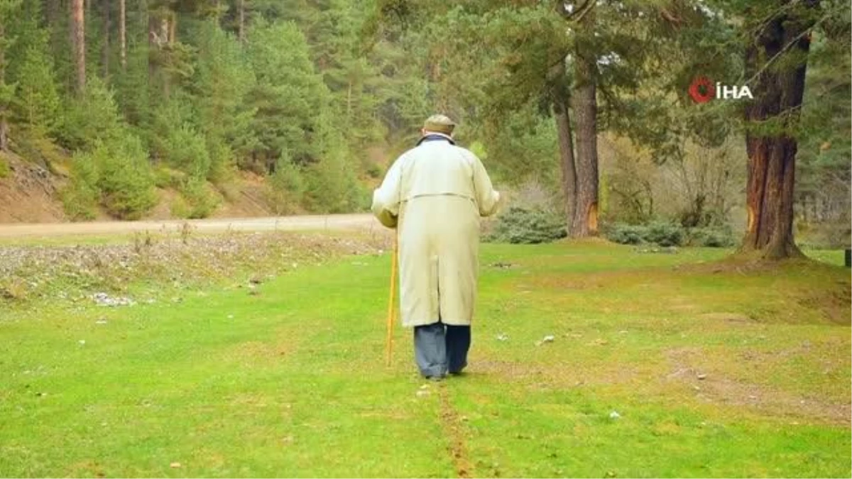 Orman sevgisi 85 yaşındaki dedeyi klipte oynattı