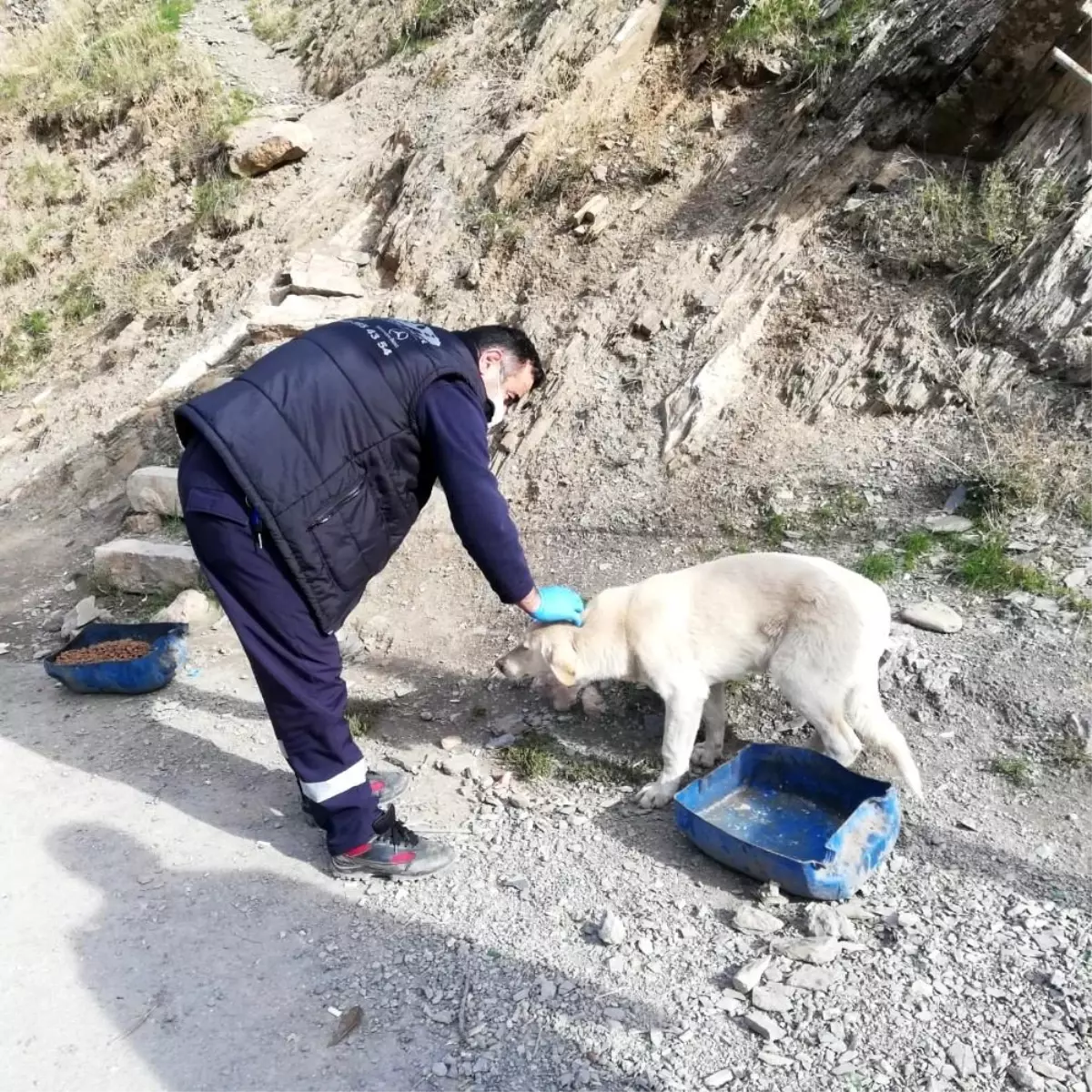 Sokağa çıkma yasağında da can dostlar unutulmadı