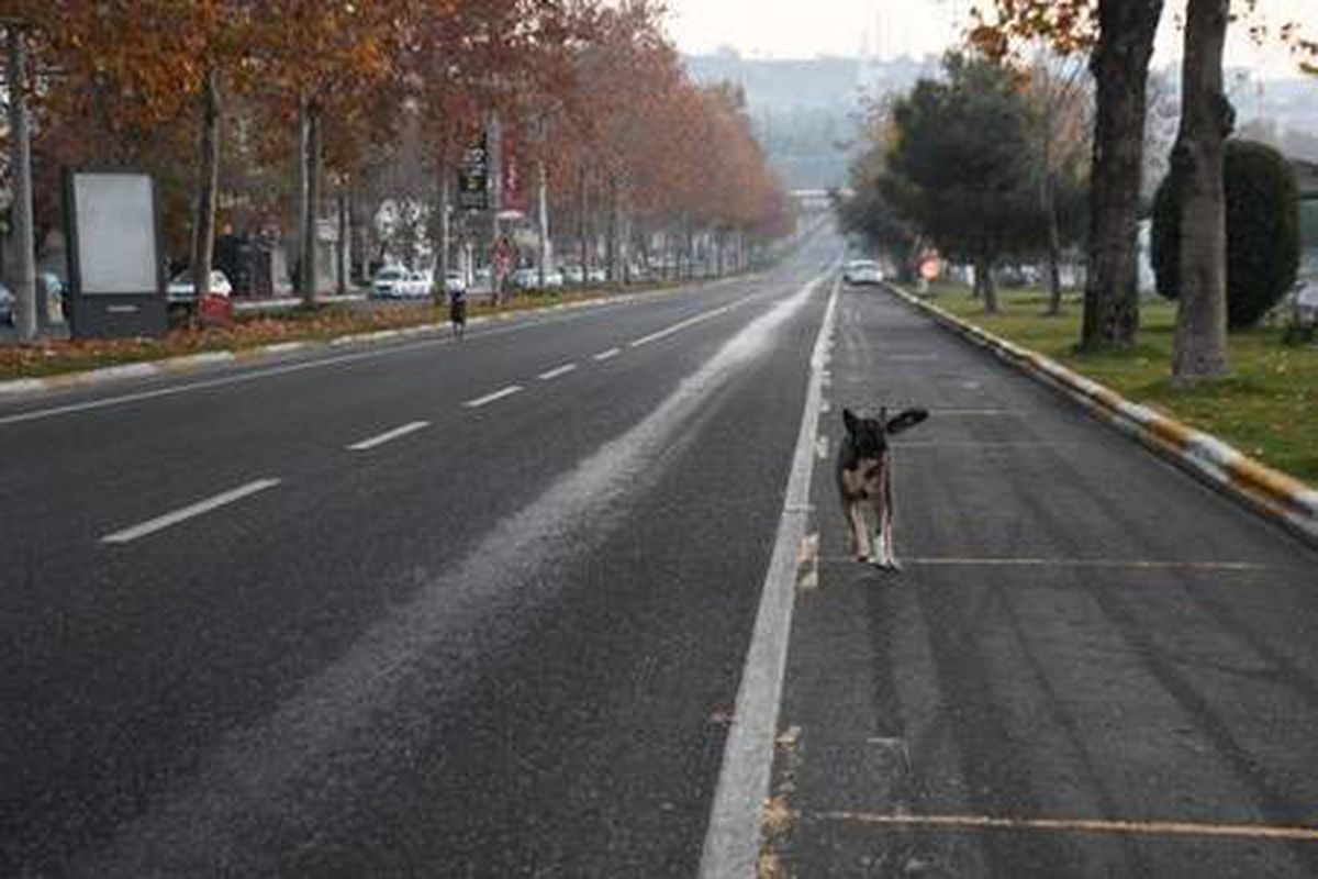 Tekirdağ\'da cadde ve sokaklar boş kaldı