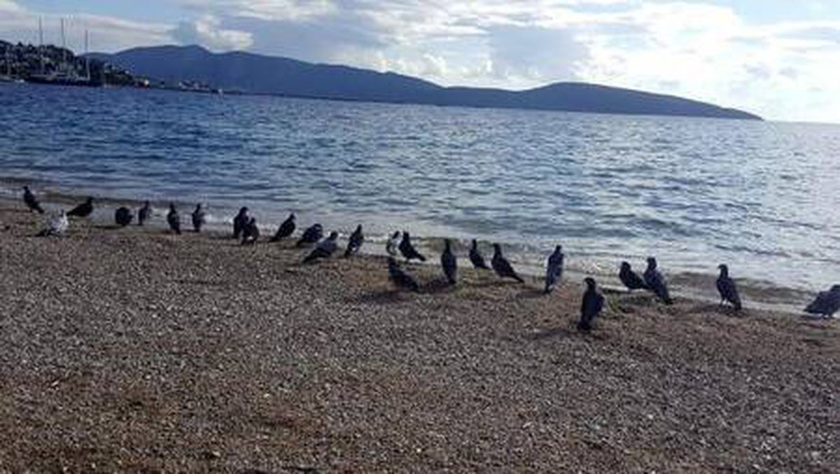 Turistik ilçelerde sessizlik hakim