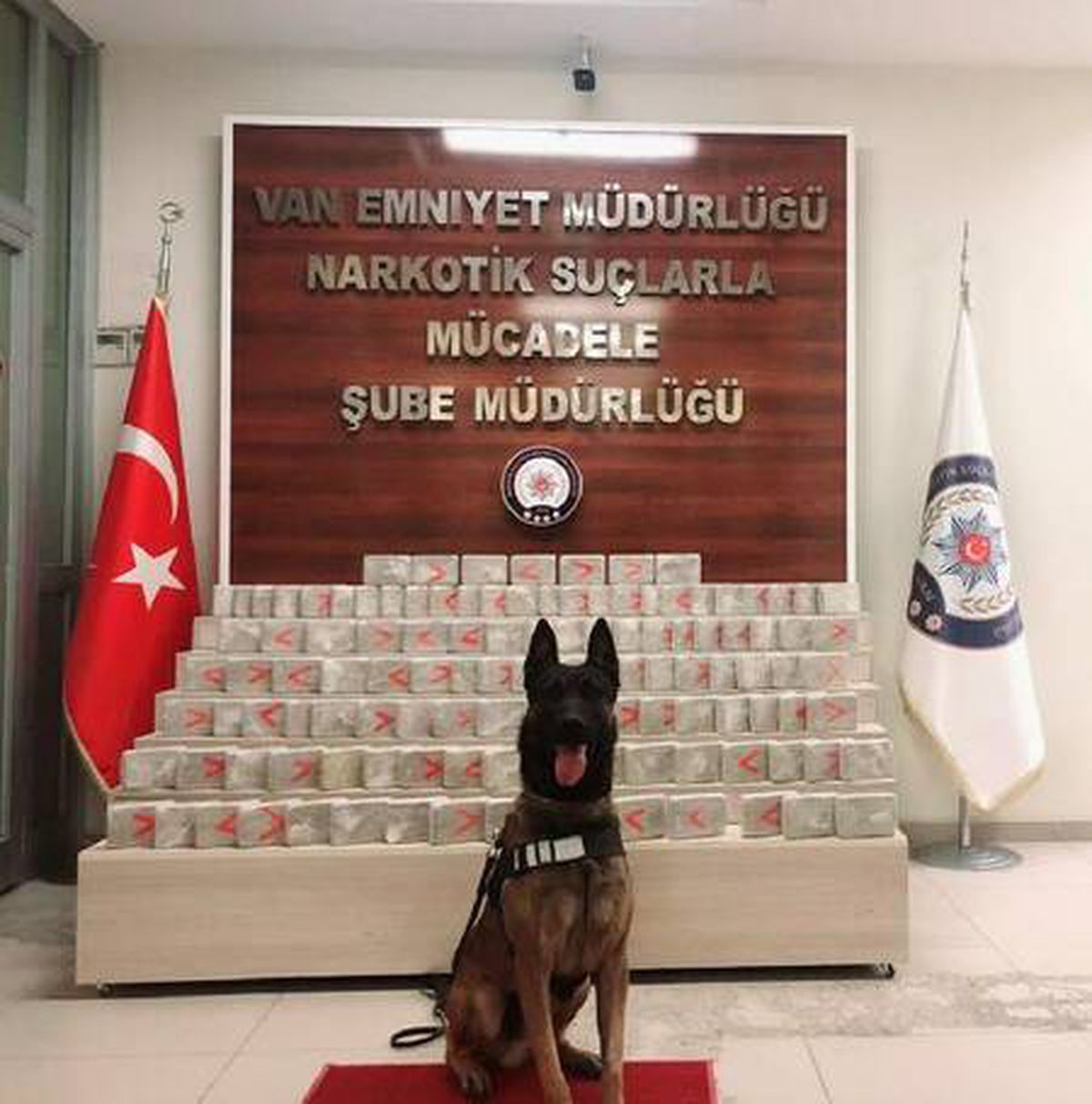 Van\'da uyuşturucu ve silah operasyonu