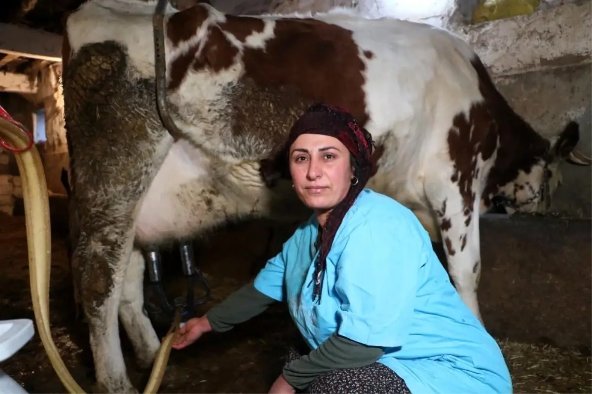 Asgari ücretle çalışmak yerine kendi işinin patronu oldu