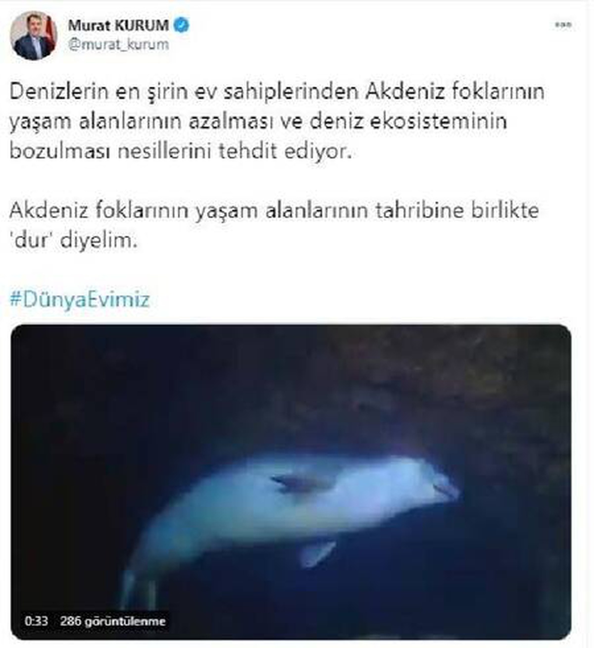Son dakika haber | Bakan Kurum: Akdeniz foklarının yaşam alanlarının tahribine birlikte \'dur\' diyelim