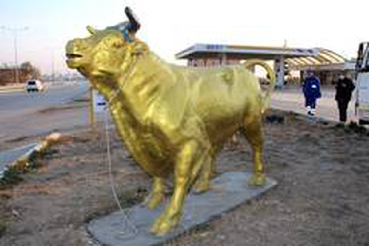 \'Charging Bull\'a Amasya\'dan yeni rakip