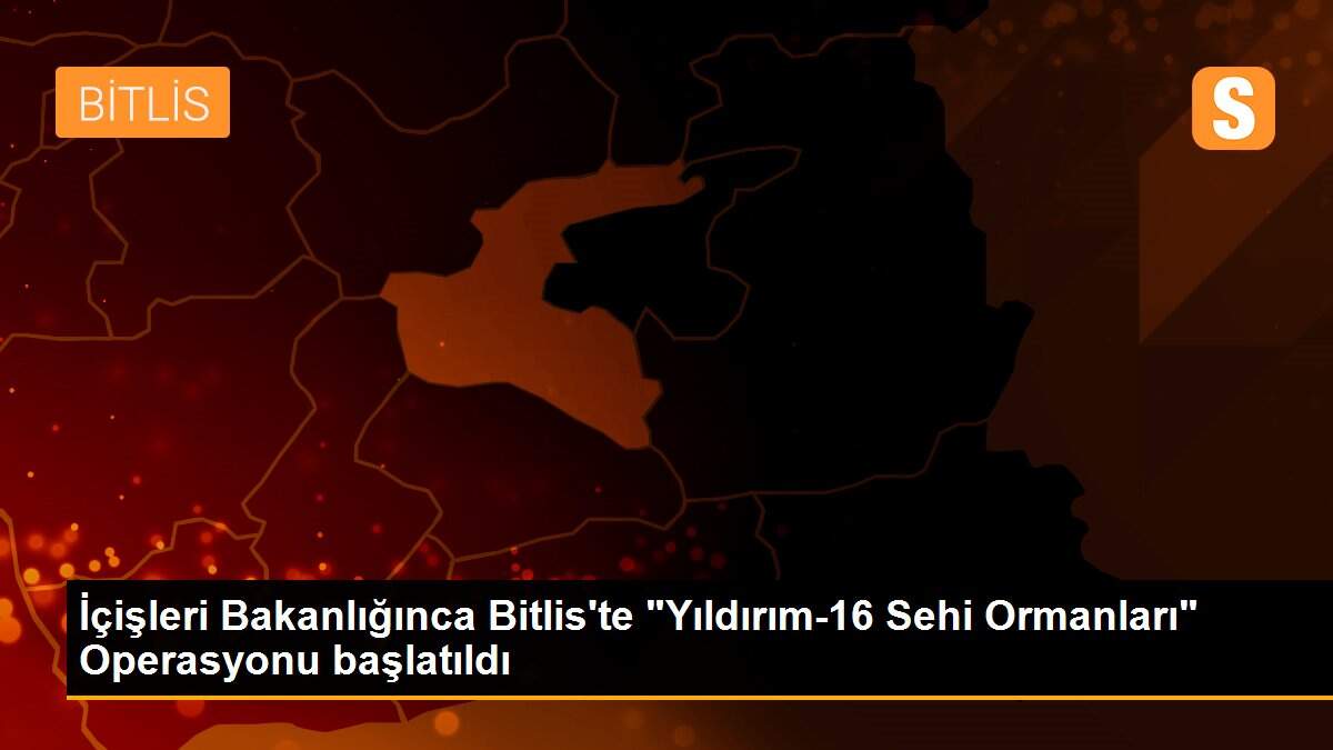 İçişleri Bakanlığınca Bitlis\'te "Yıldırım-16 Sehi Ormanları" Operasyonu başlatıldı