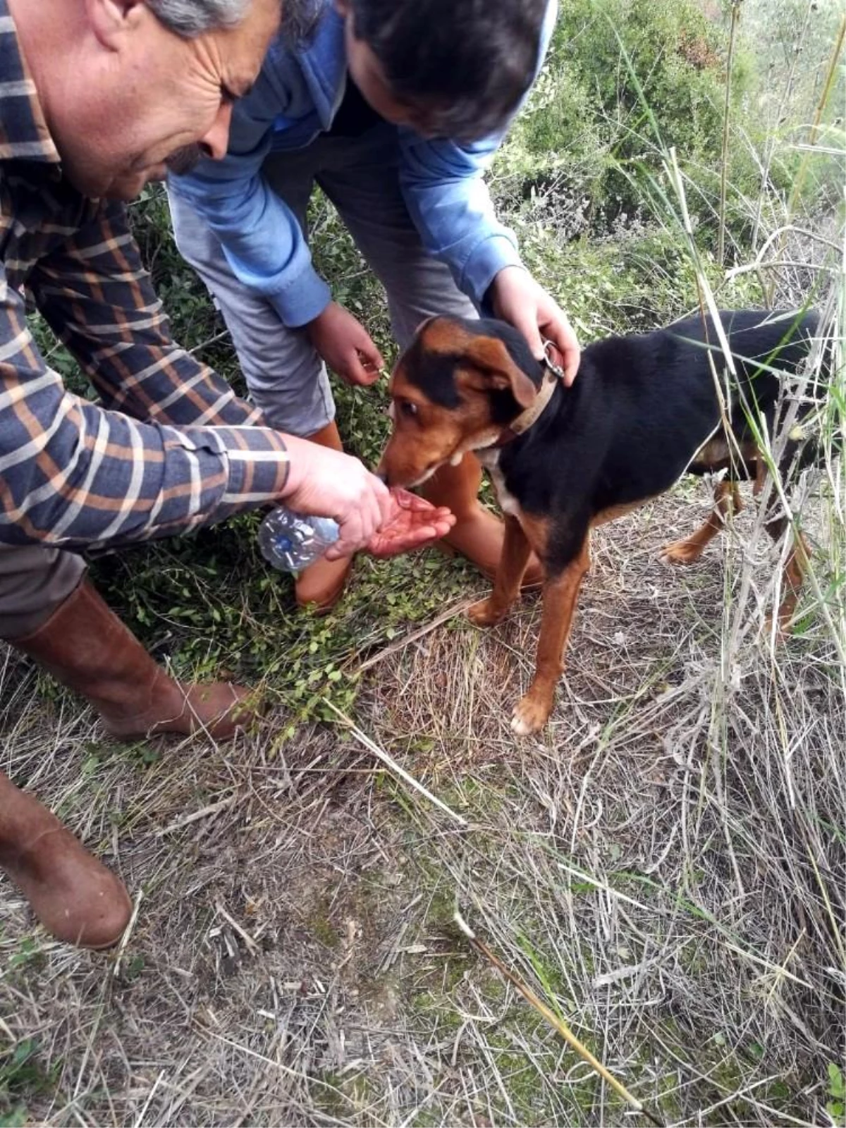 İzmir İtfaiyesi, kuyuda mahsur kalan köpeği kurtardı