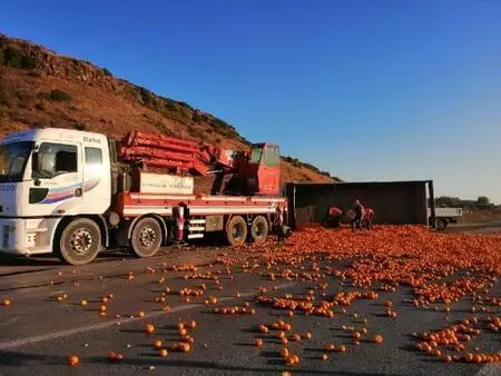 Kamyon devrildi; 15 ton mandalina yola saçıldı Kamyon devrildi; 15 ton mandalina yola saçıldı