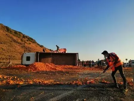 Kamyon devrildi; 15 ton mandalina yola saçıldı Kamyon devrildi; 15 ton mandalina yola saçıldı