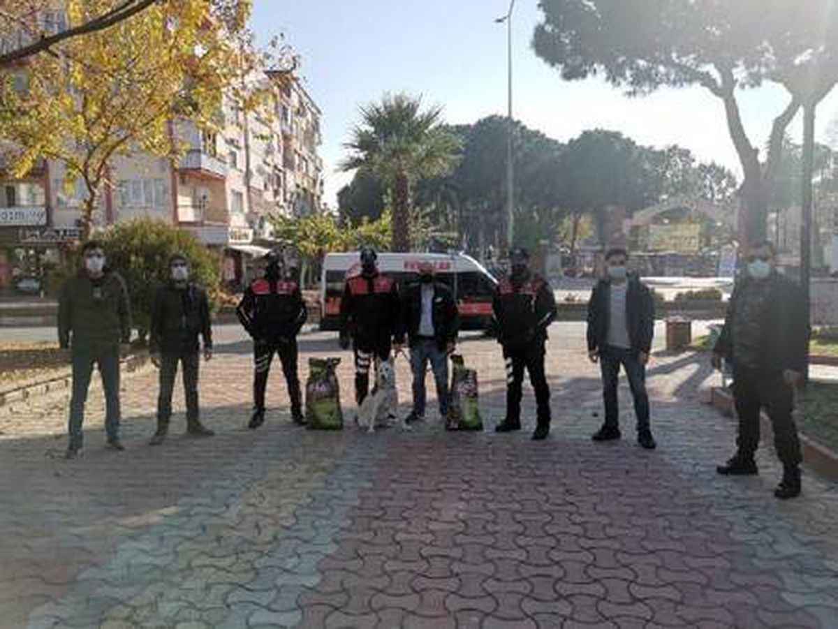Nazilli\'de, kısıtlamada sokak hayvanlarını polisler besledi