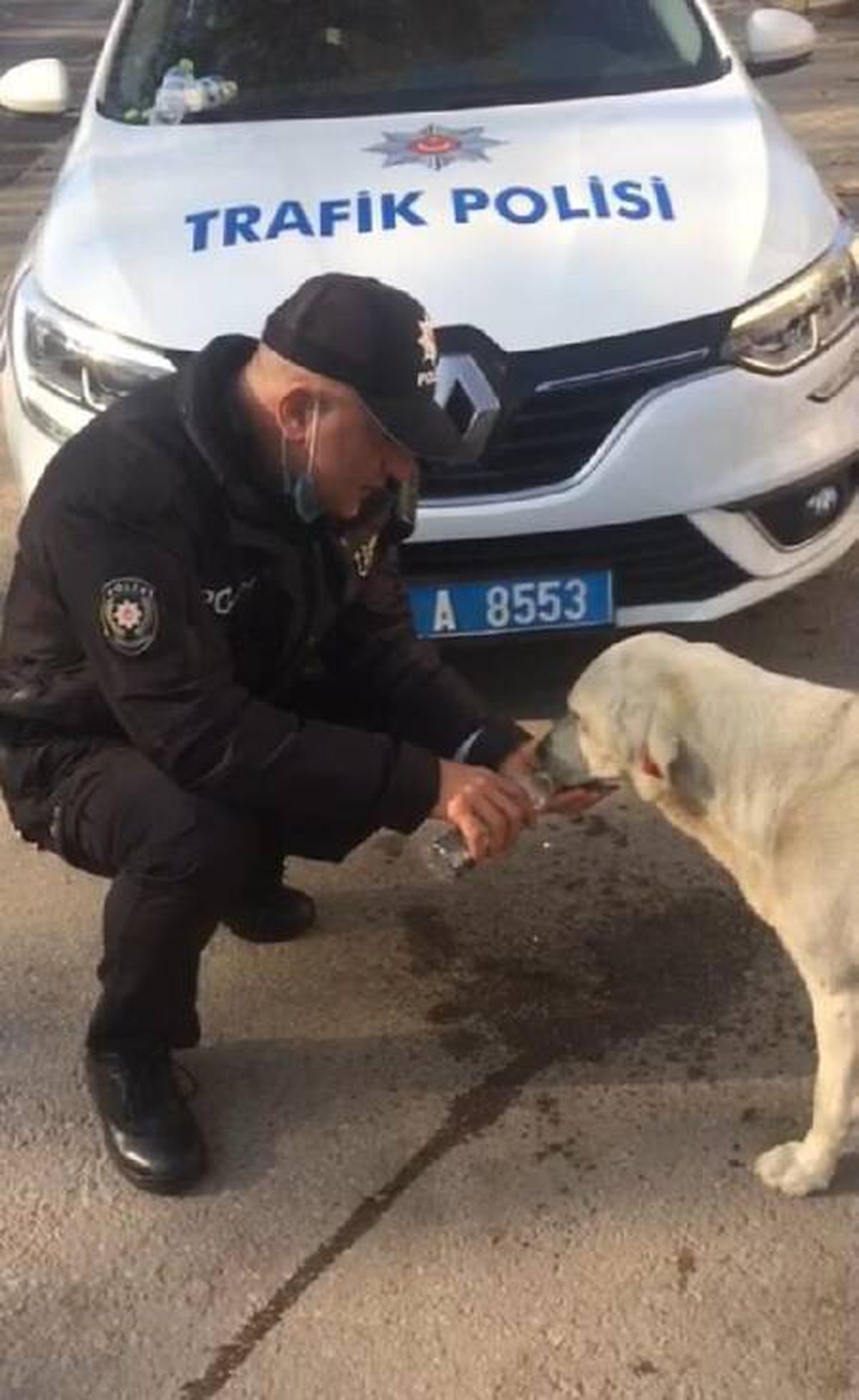 Polis memuru, sokak köpeğine eliyle su içirdi