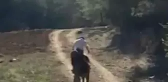 Attan düşerek yaralandı, o anlar cep telefonuna yansıdı