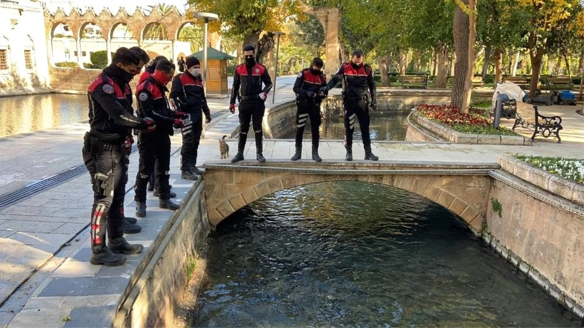 Balıklıgöl\'deki balıkları polisler besledi