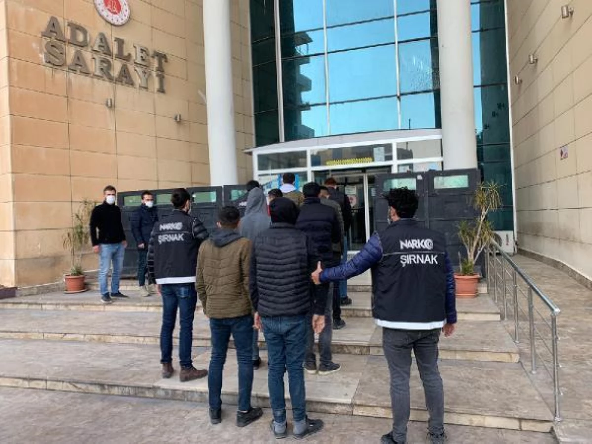 Cizre\'deki uyuşturucu ticaretine 7 tutuklama