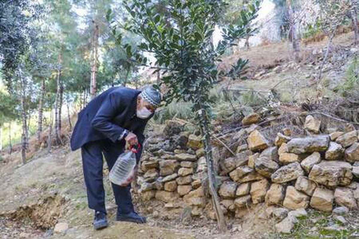 Çöplüğü ormana çeviren Şeyhmus amca: Son nefesime kadar ağaç dikeceğim