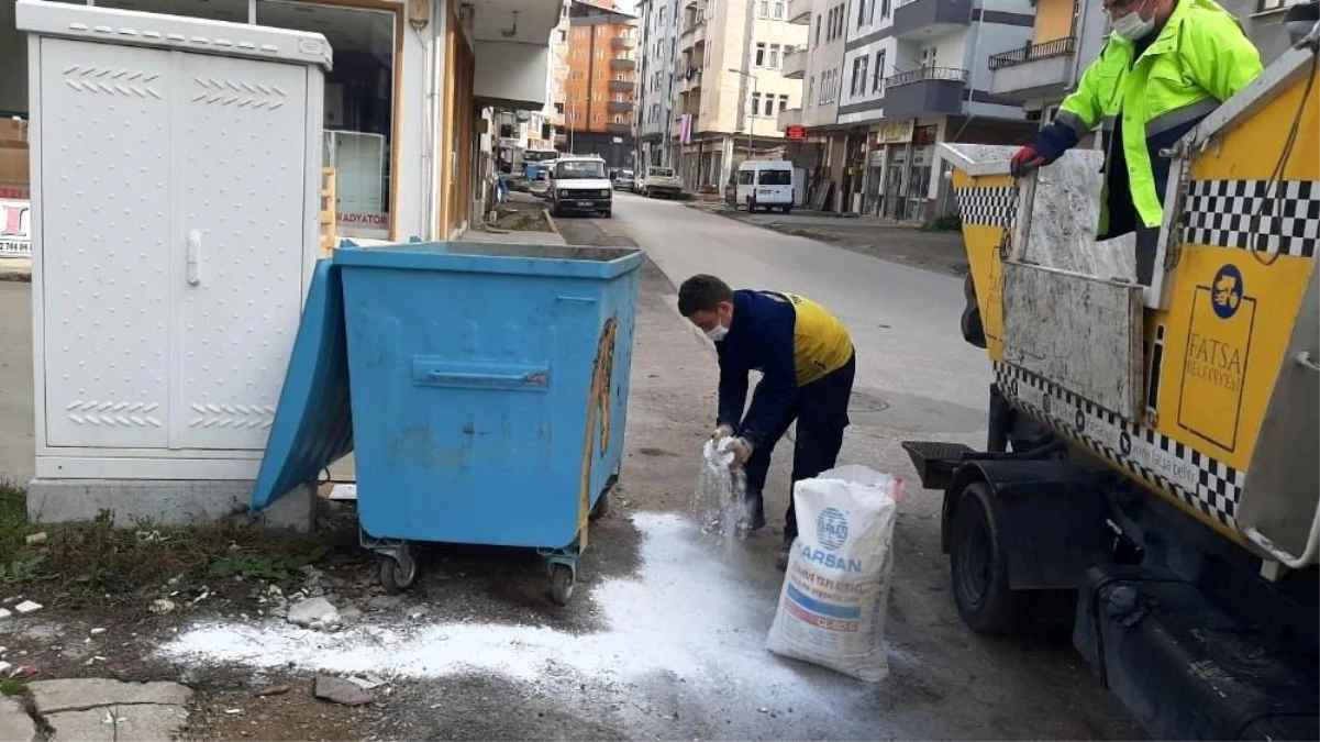 Fatsa\'da çöp konteynerleri virüs tehlikesine karşı ilaçlanıyor