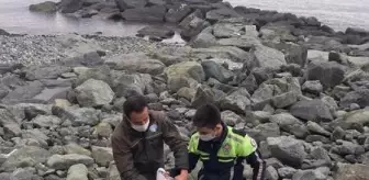 Kayalıklara sıkışan martıyı, trafik polisi kurtardı