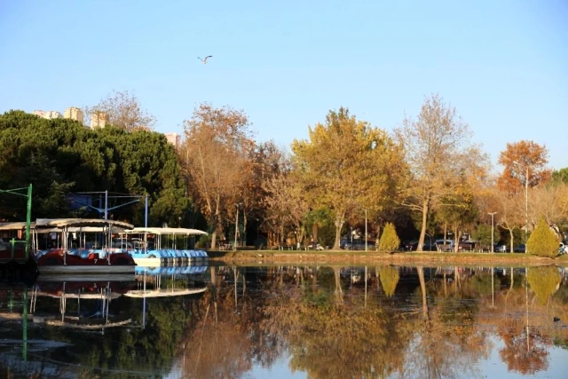 Korona virüsün stresini şehrin göbeğindeki güzelliği ile mest eden gölette atıyorlar