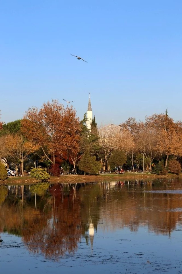 Korona virüsün stresini şehrin göbeğindeki güzelliği ile mest eden gölette atıyorlar