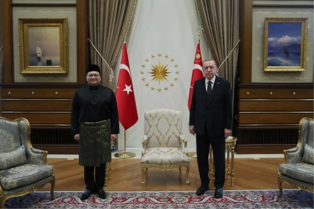 Malezya ve İsveç büyükelçileri Erdoğan\'a güven mektuplarını sundu