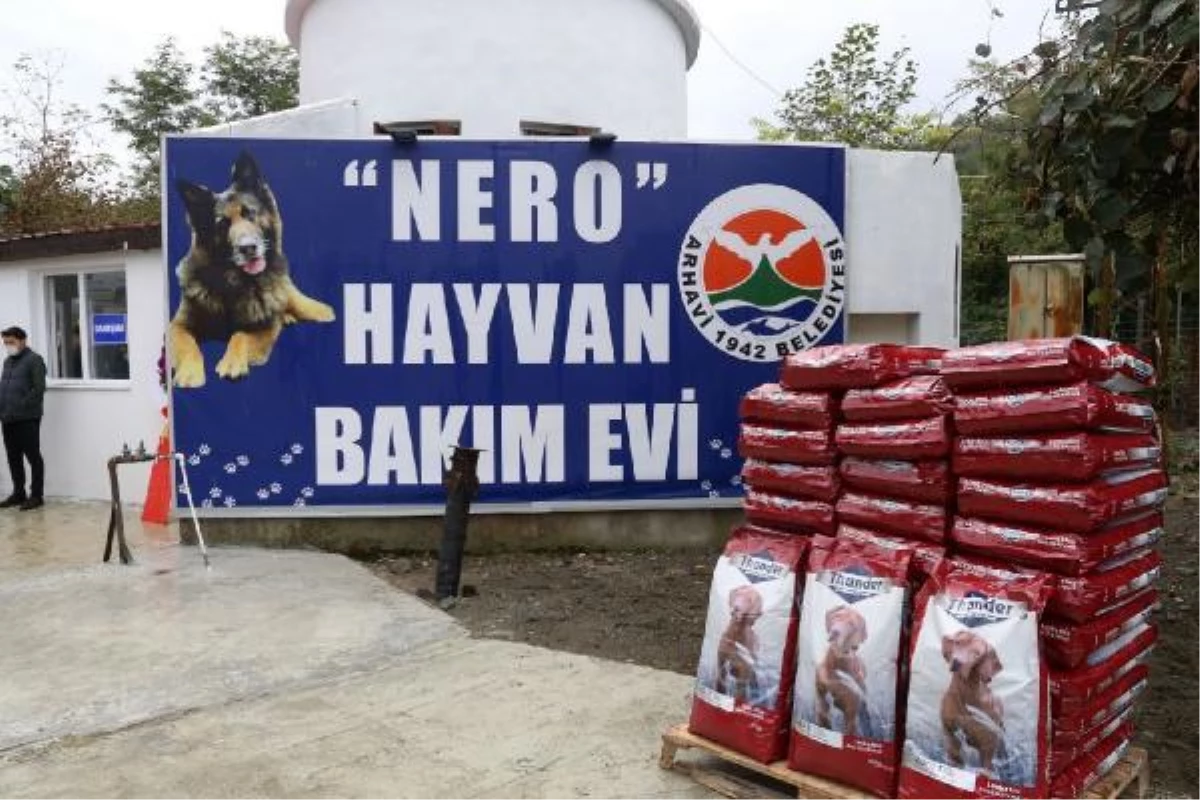 Öldürülen kurt köpeği Nero\'nun adının verildiği hayvan bakımevi açıldı