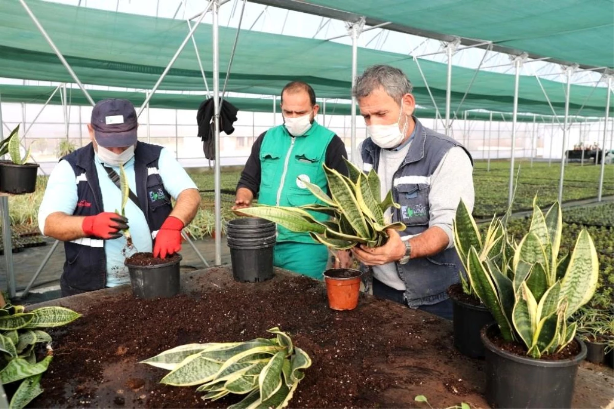 Yaşam Bahçesi\'ndeki bitkilerin üretimi başladı