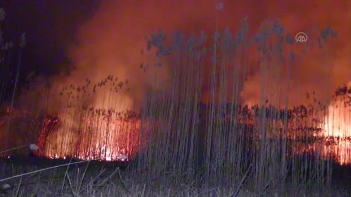 Son dakika haber... AFYONKARAHİSAR - Eber Gölündeki yangında yaklaşık 600 dönüm kamışlık arazi zarar gördü