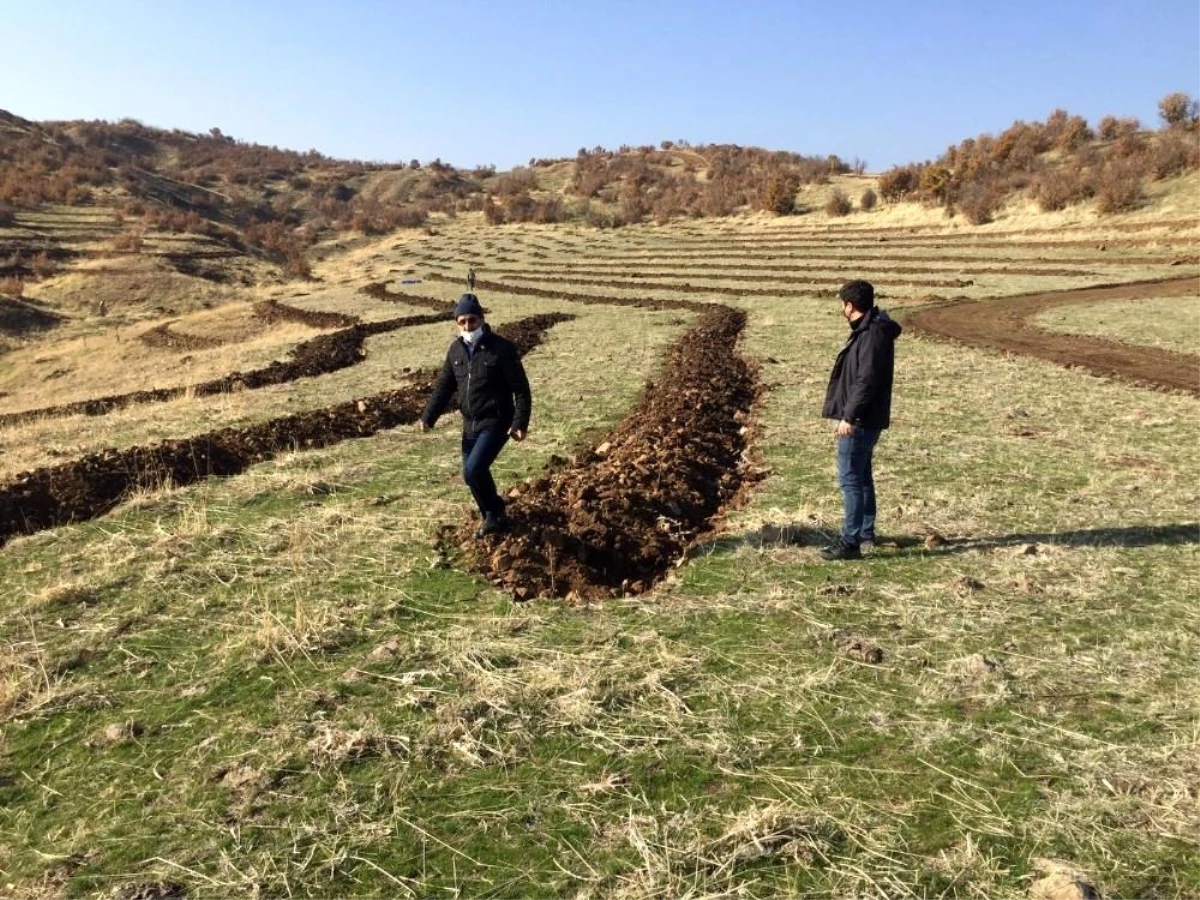 Bingöl\'de 210 dönümlük alana bal ormanı kuruldu