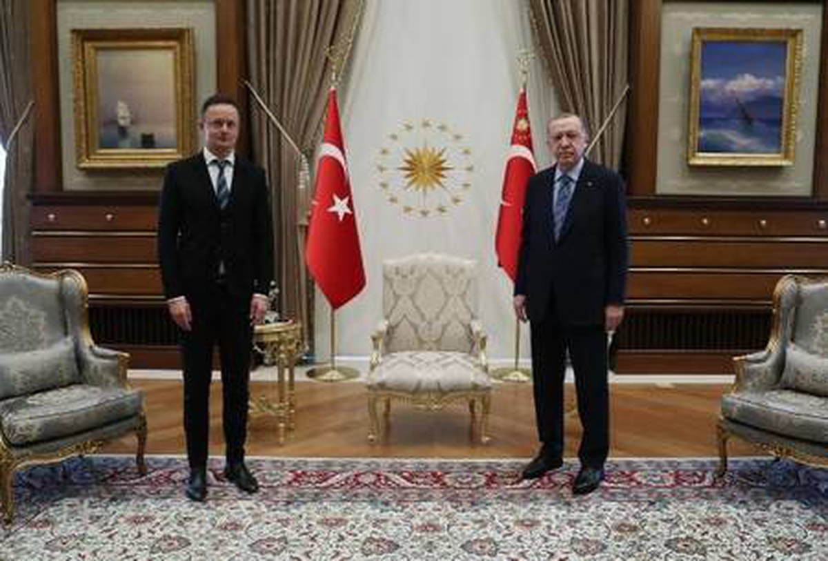 Son dakika... Cumhurbaşkanı Erdoğan, Macaristan Dışişleri Bakanını kabul etti