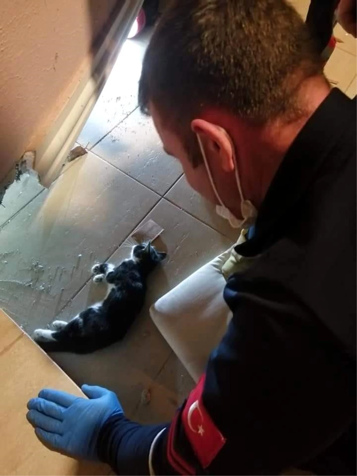 Son dakika haberleri! Duvar arasına sıkışan kedi kurtarıldı