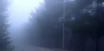 Sis güzel görüntüler oluşturdu