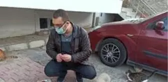 Sokak hayvanları için harekete geçti, mahalle sakinleri onu yalnız bırakmadı