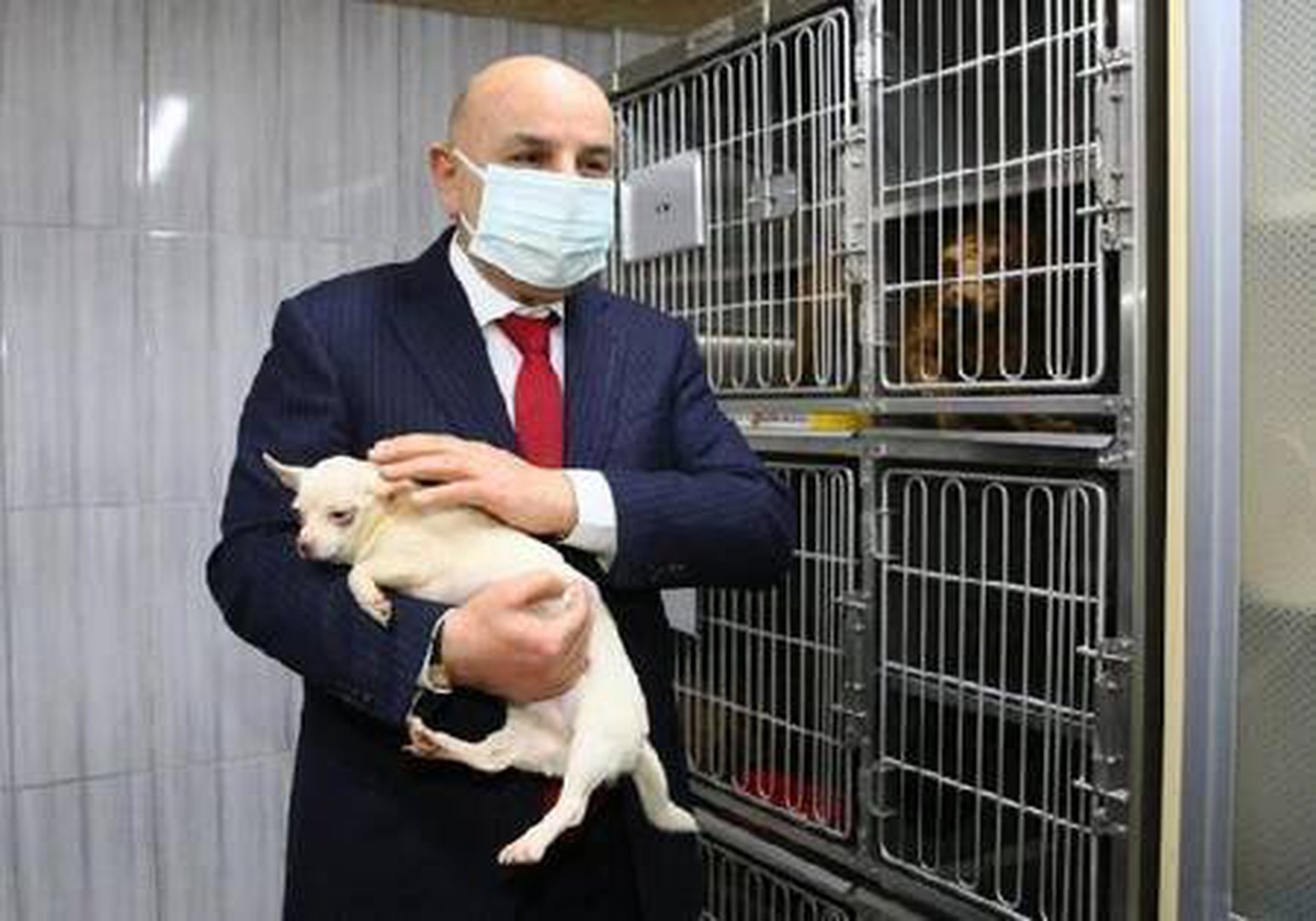 Ankara\'da el konulan 77 köpeği sahiplenmek için rekor başvuru