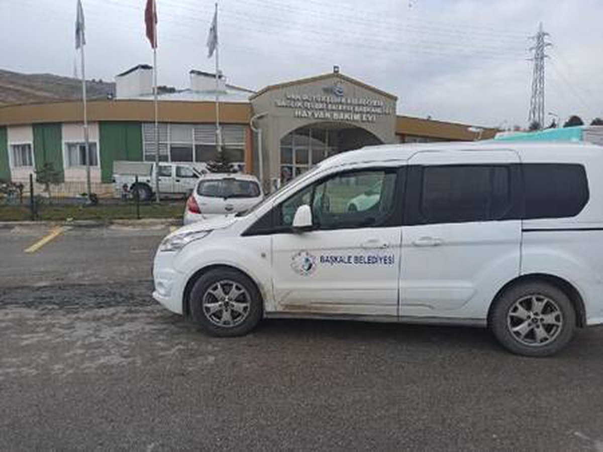 Annesi kaybolan yavru köpeklere belediye ekipleri sahip çıktı