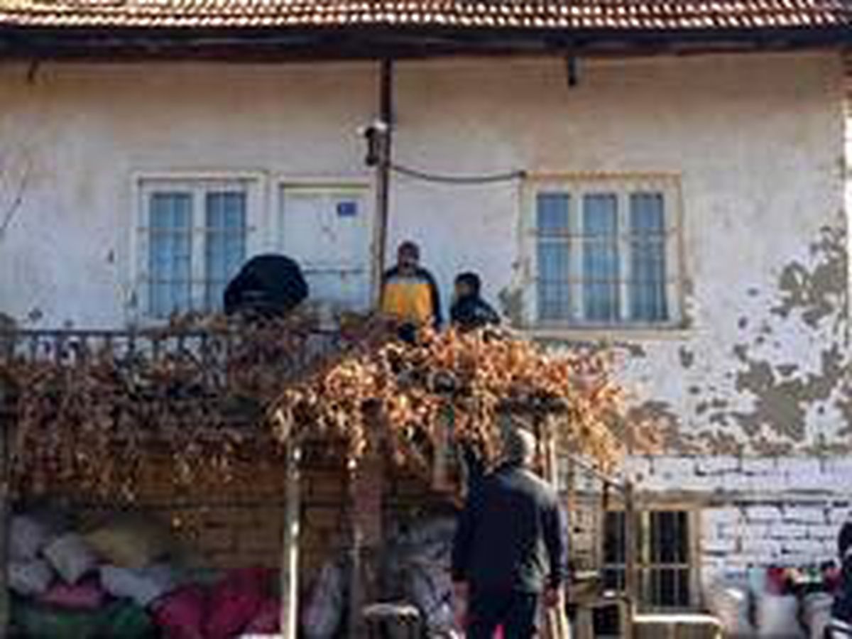 Avukat evinde ölü bulundu