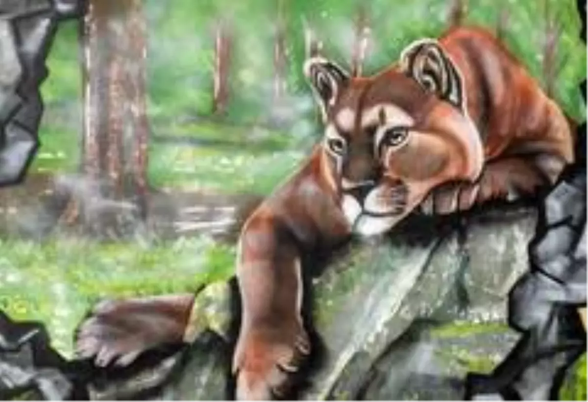 Doğal Yaşam Parkının duvarlarına renk geldi