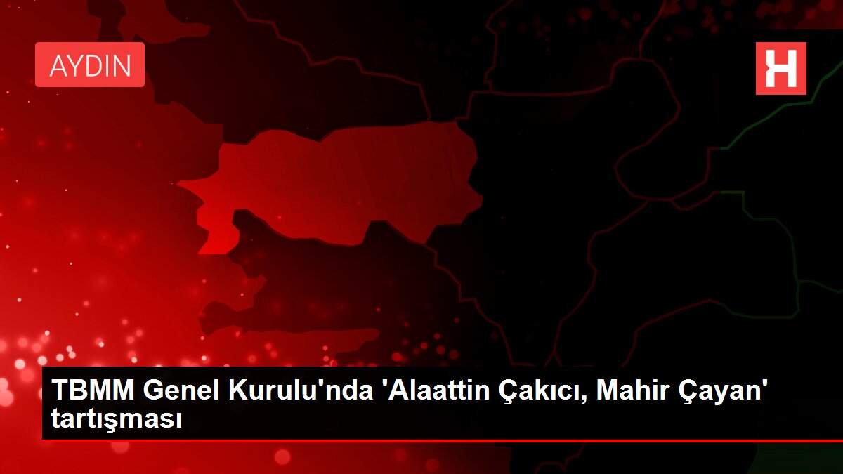 TBMM Genel Kurulu'nda 'Alaattin Çakıcı, Mahir Çayan' tartışması