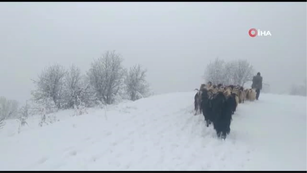 Tunceli\'de kar yağışı etkili oldu, 132 köy yolu kapandı