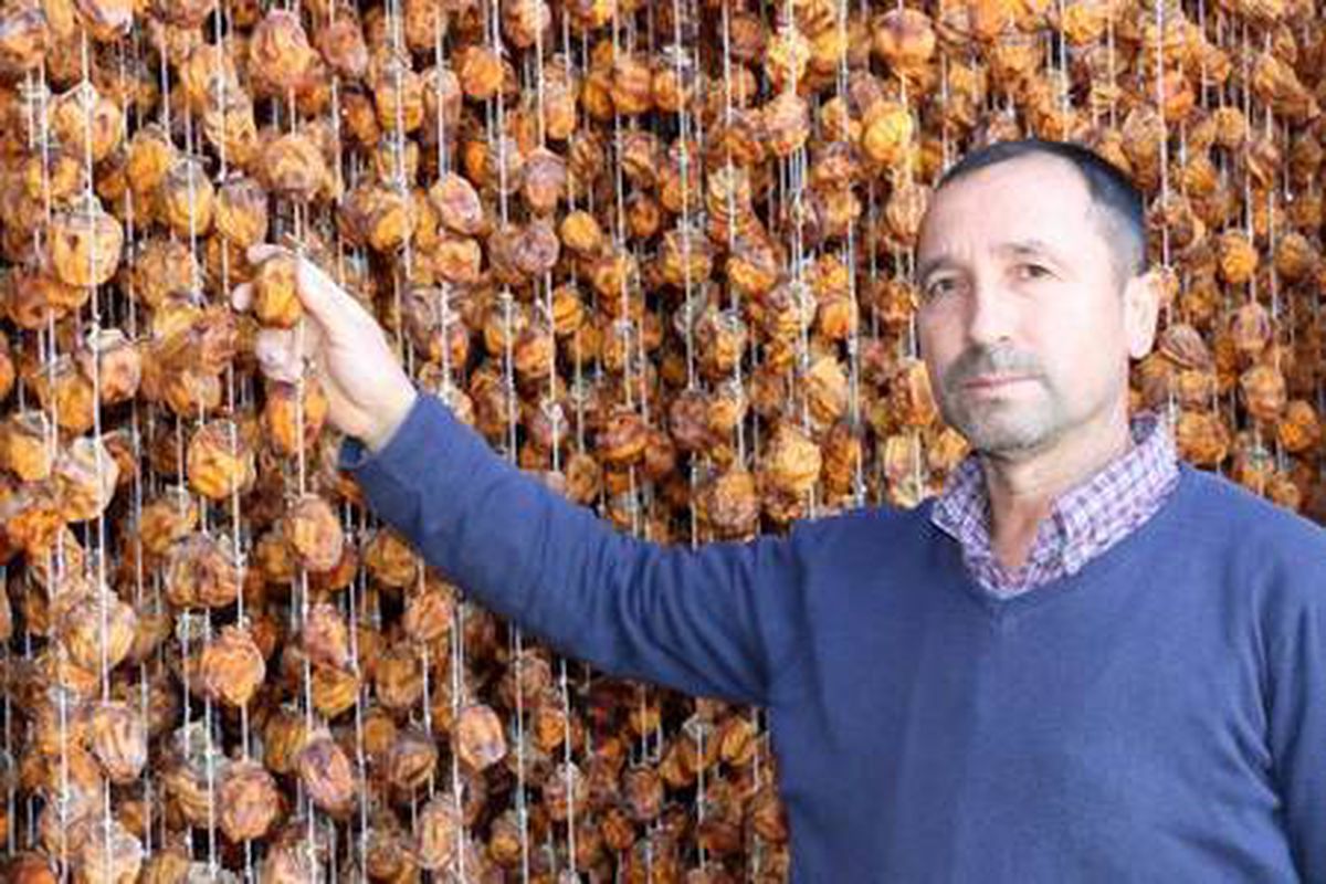Adana\'da 80 ton hurmayı kurutup, satıyor
